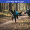 Gourde de voyage
