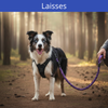 Laisses