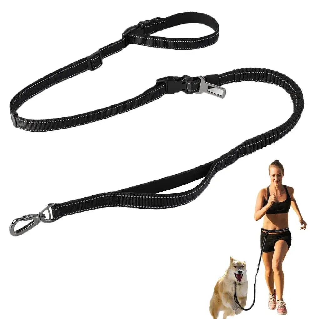 Canicross | Laisse Ceinture pour chien Mains-Libres 6 en 1 Dog Spirit