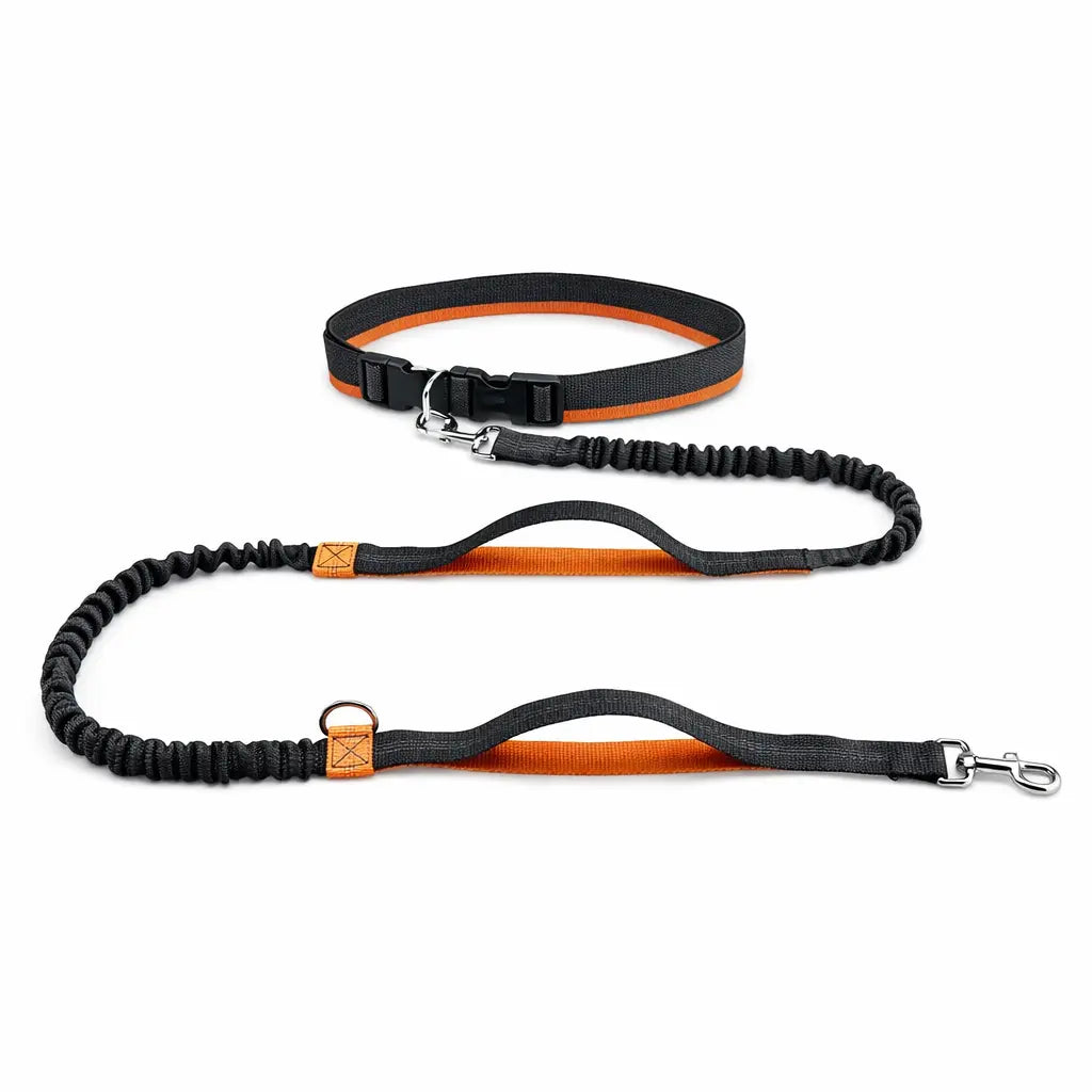 Canicross | Laisse mains libres pour chien – Ceinture de course avec corde élastique réfléchissante Dog Spirit
