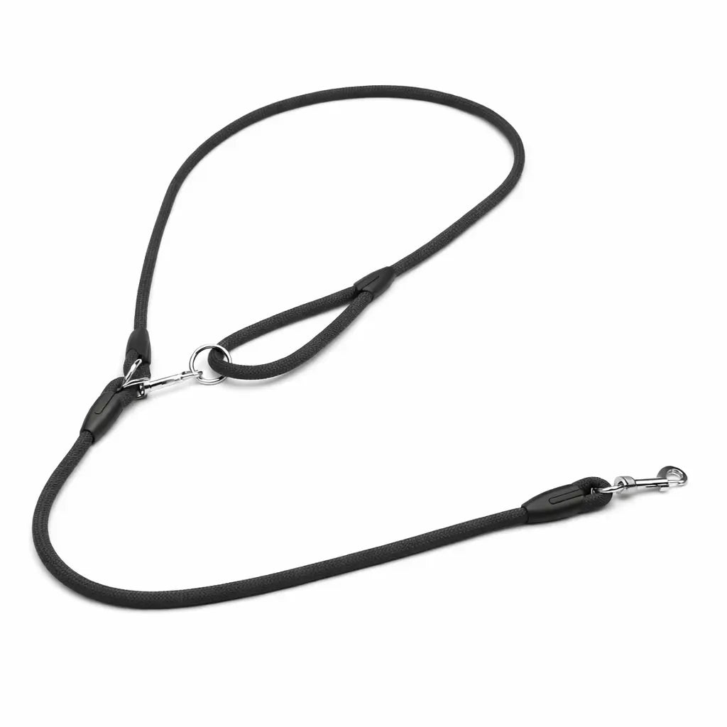 Laisse Mains Libres pour Chien – Nylon Résistant – Running, Canicross & Promenade – Petits et Grands Chiens Dog Spirit