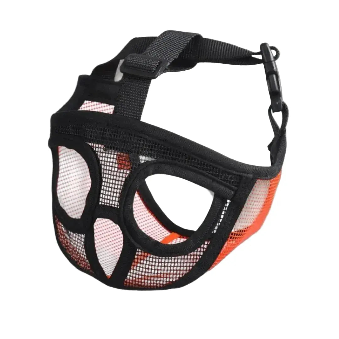 Muselière pour bouledogue français – Pratique et confortable
