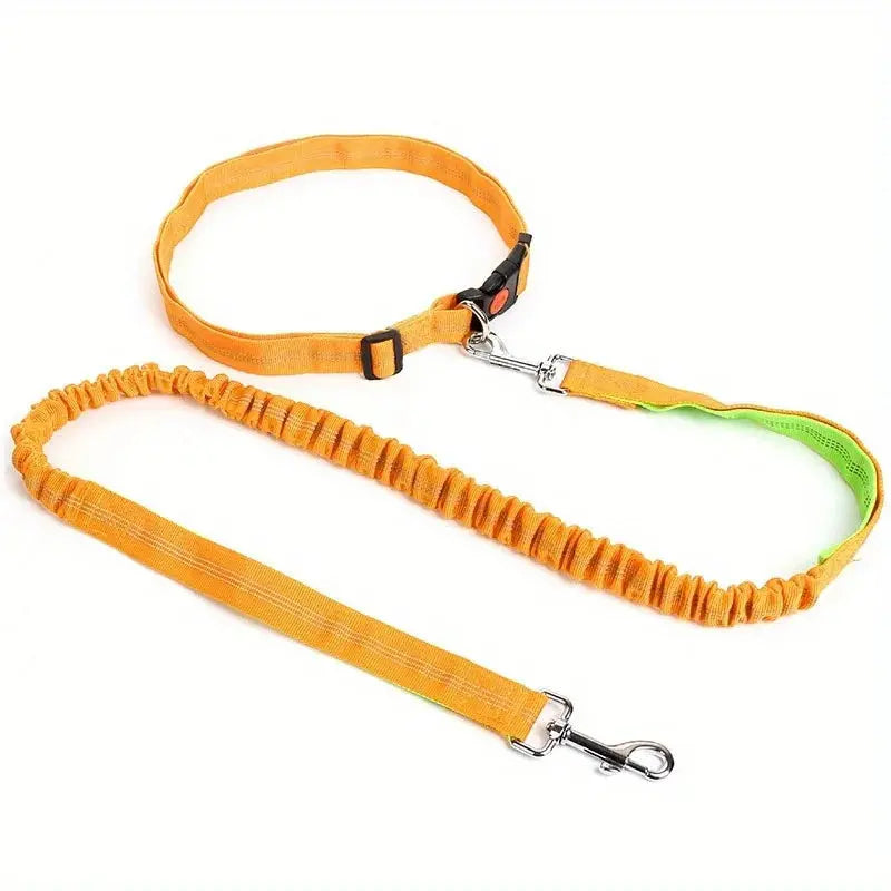 Canicross | Laisse Ceinture pour chien Multi-Couleur Elastique Dog Spirit