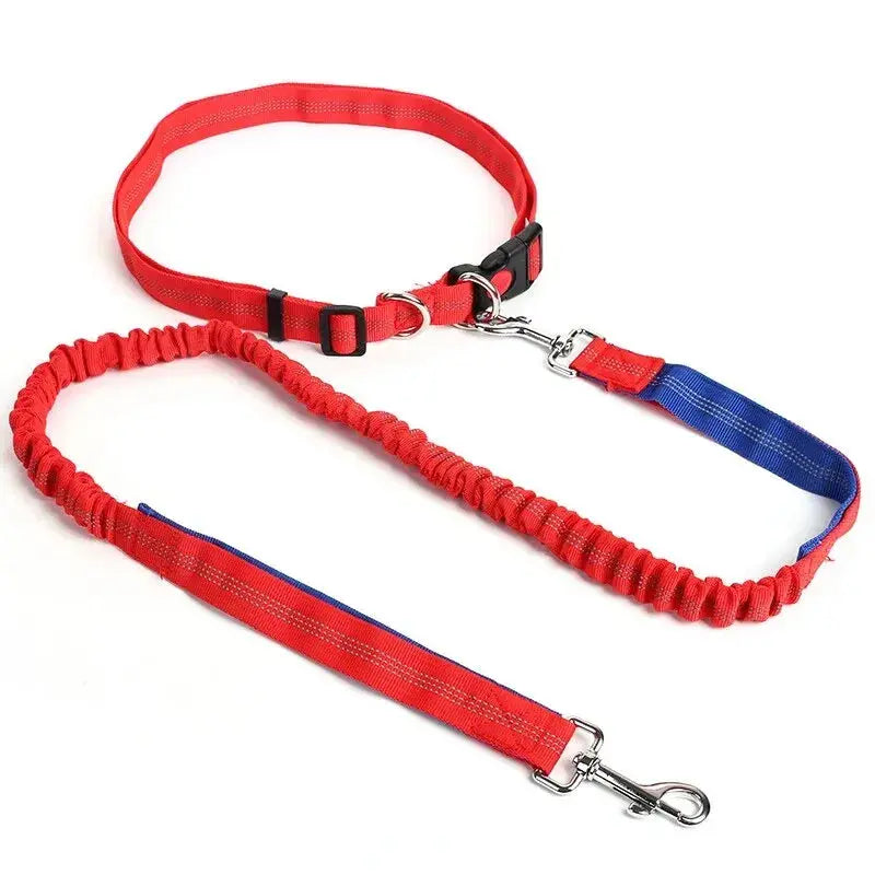 Canicross | Laisse Ceinture pour chien élastique Dog Spirit