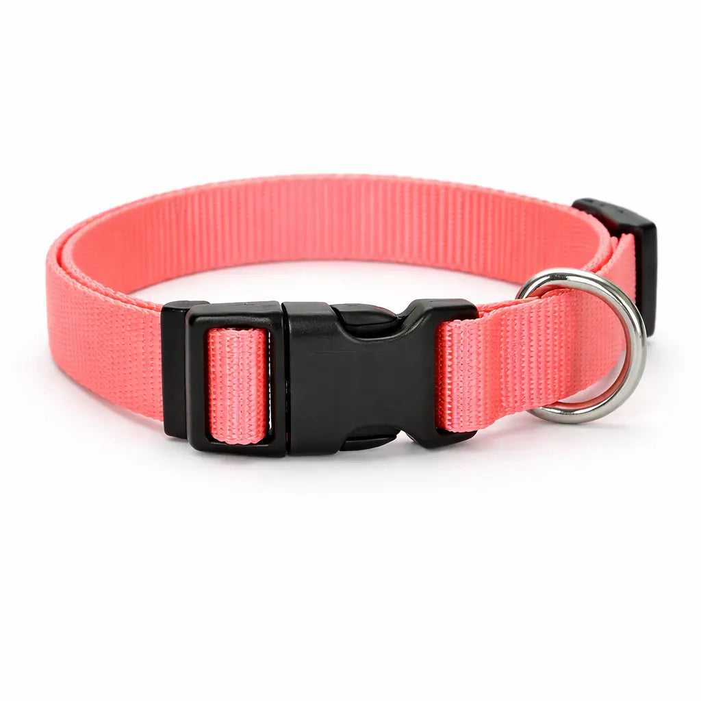 SoftFit Junior – Collier ou laisse Nylon Ajustable pour Chiots & Petits Chiens | Confort & Durabilité Dog Spirit