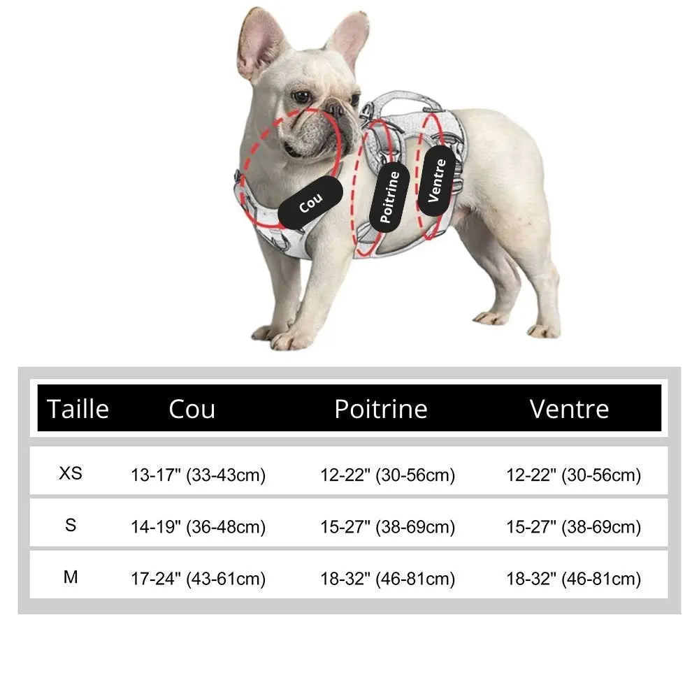Canicross | Harnais pour petits et moyens chiens Dog Spirit