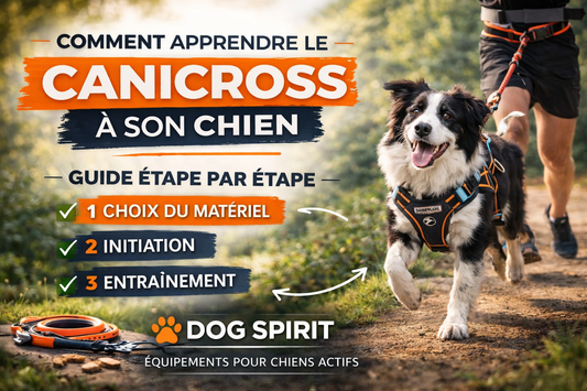 Comment apprendre le canicross à son chien : les étapes clés pour réussir Dog Spirit