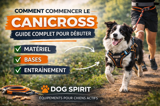 Comment commencer le canicross : guide complet pour bien débuter Dog Spirit
