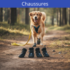 Chaussures chien