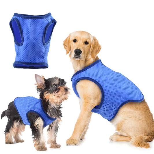 Accessoire | Gilet Rafraichissant pour Chien Dog Spirit