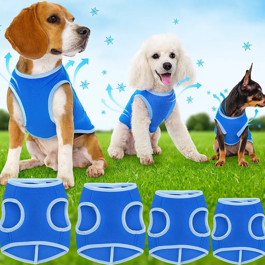 Accessoire | Gilet de Refroidissement pour chien Dog Spirit