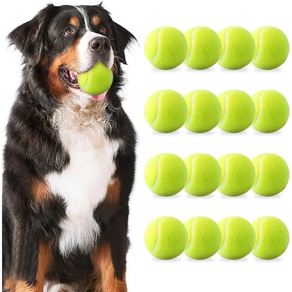 Balles de tennis pour chien 5 cm  – Compatibles lanceurs automatiques Dog Spirit