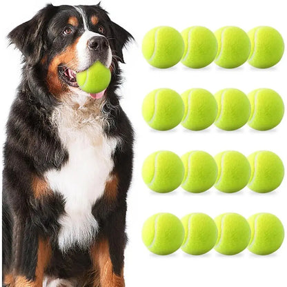 Balles de tennis pour chien 5 cm  – Compatibles lanceurs automatiques Dog Spirit