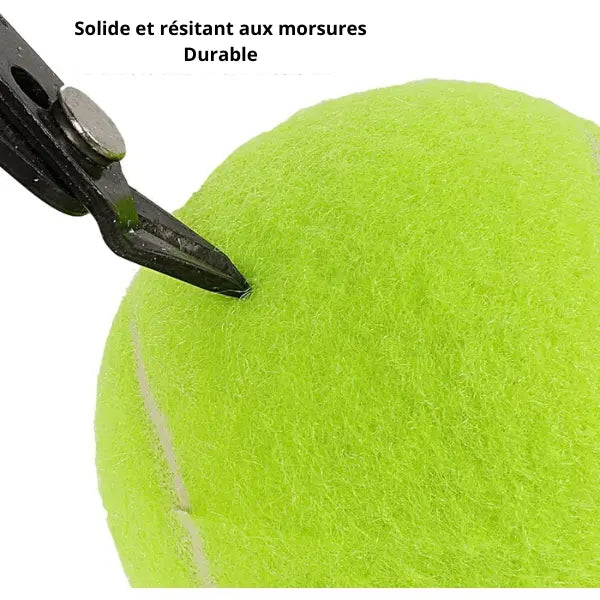 Balles de tennis pour chien 5 cm  – Compatibles lanceurs automatiques Dog Spirit