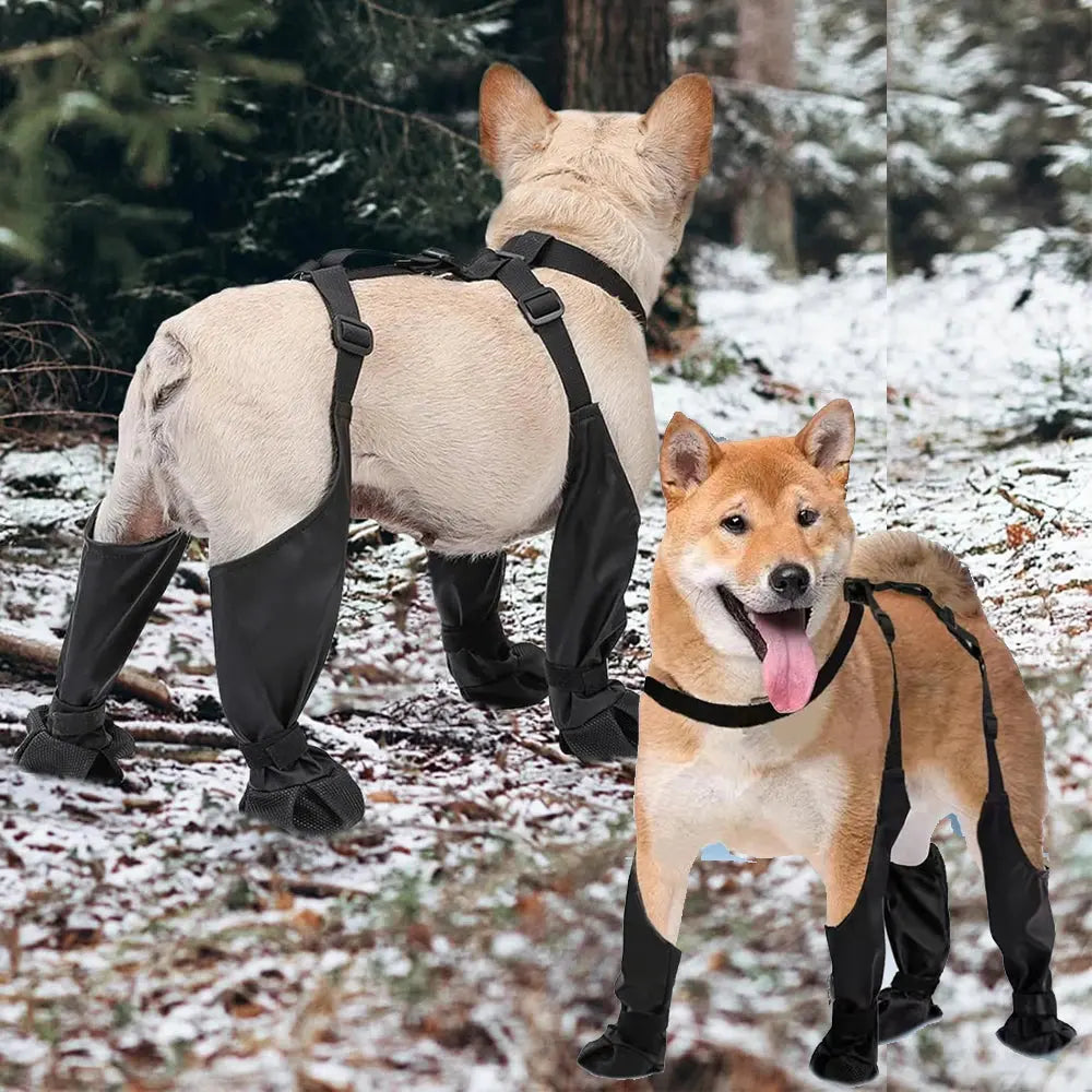 Bottes pour chien antidérapantes –  imperméables, outdoor & canicross Dog Spirit