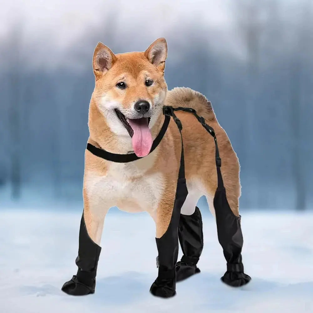 Bottes pour chien antidérapantes –  imperméables, outdoor & canicross Dog Spirit