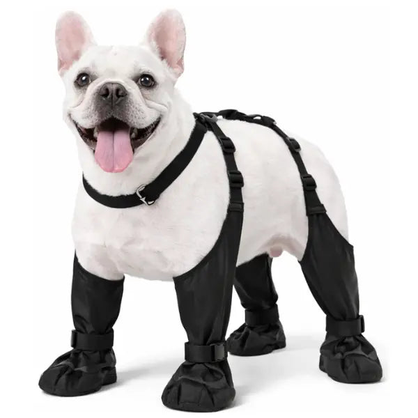 Bottes pour chien antidérapantes –  imperméables, outdoor & canicross Dog Spirit