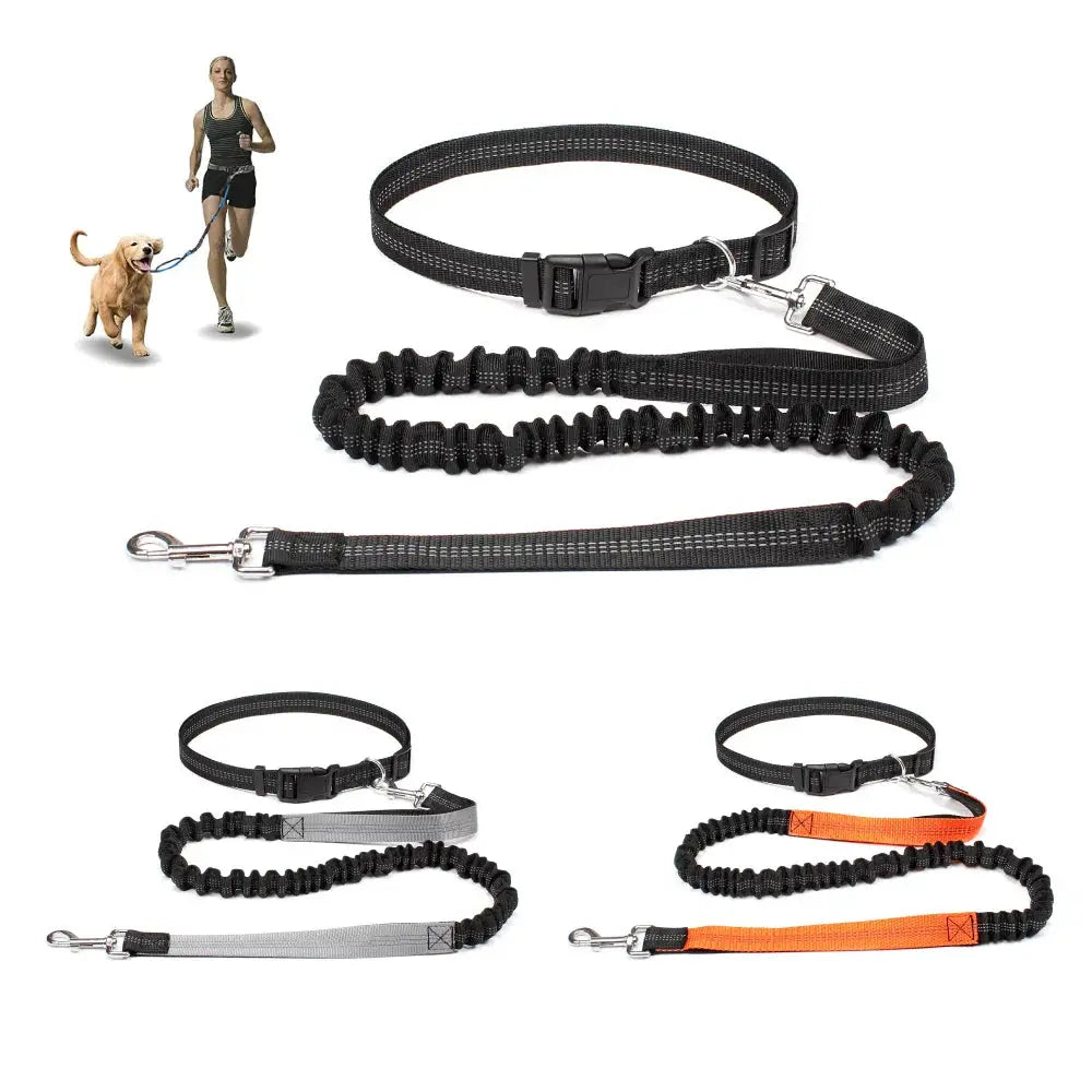 Canicross | Ceinture Laisse Pour Chien Dog Spirit