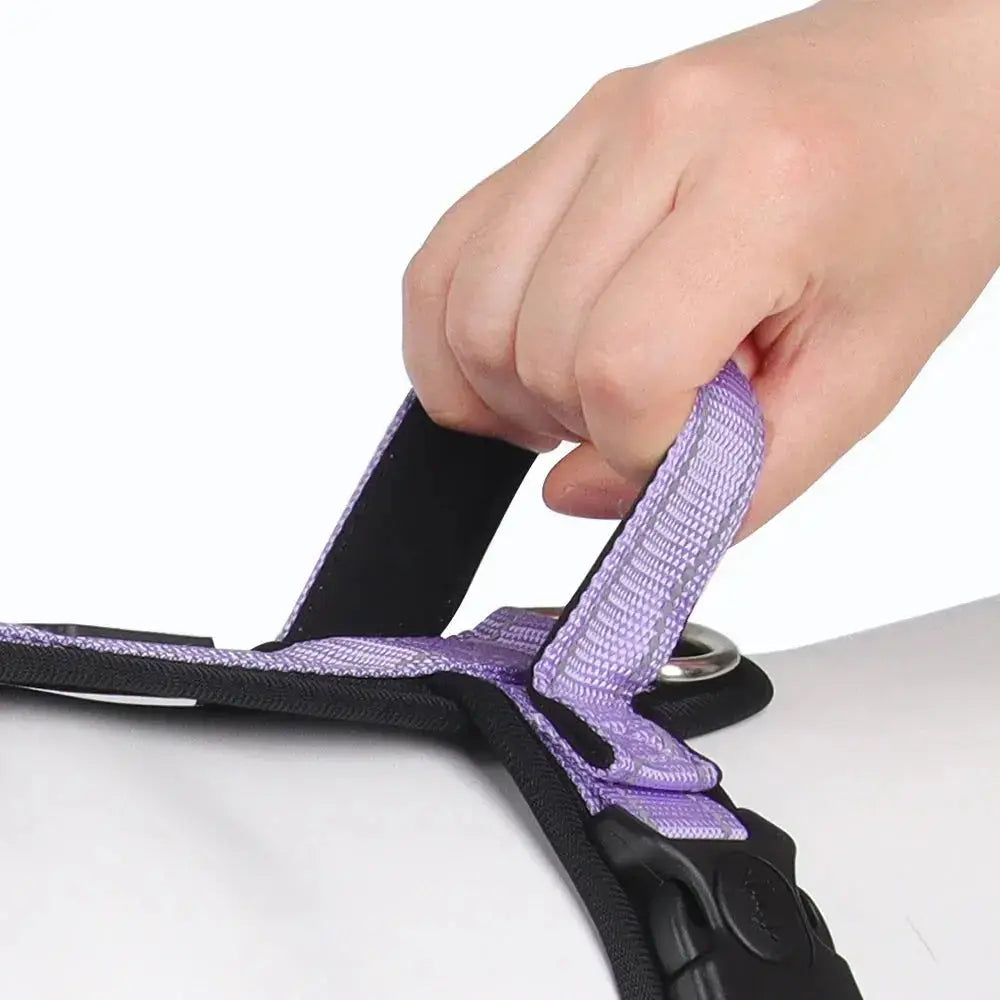 Canicross | Harnais anti-fuite pour chien avec poignée renforcée Dog Spirit