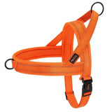 Orange 2