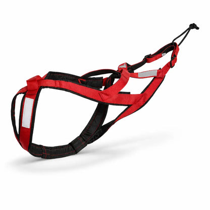 Canicross | Harnais de traction pour chien Dog Spirit