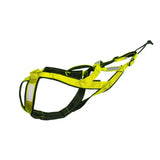 Vert fluo