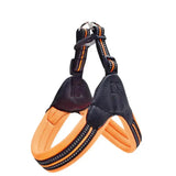 Harnais Orange