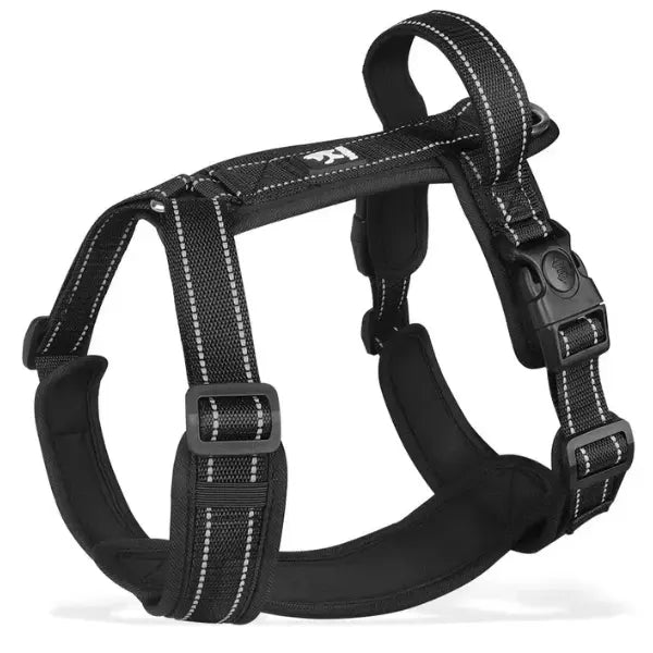 Canicross | Harnais pour chien Tout-en-un Marche et Course Dog Spirit