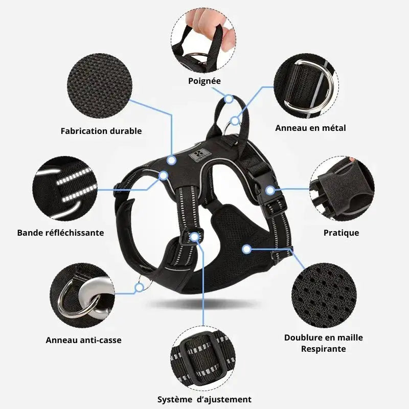 Canicross | Harnais pour chien Tout-en-un Marche et Course Dog Spirit