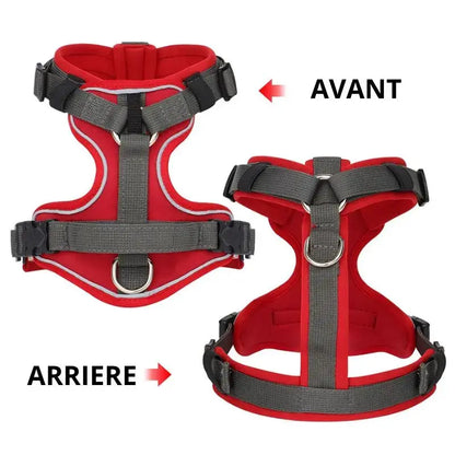 Canicross | Harnais pour chien réfléchissant, réglable et respirant Premium Dog Spirit