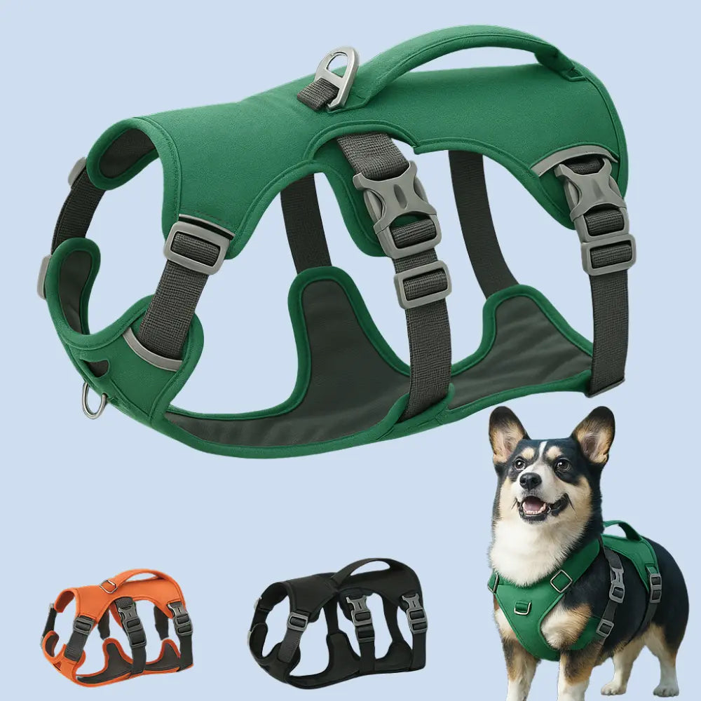 Canicross | Harnais pour petits et moyens chiens Dog Spirit