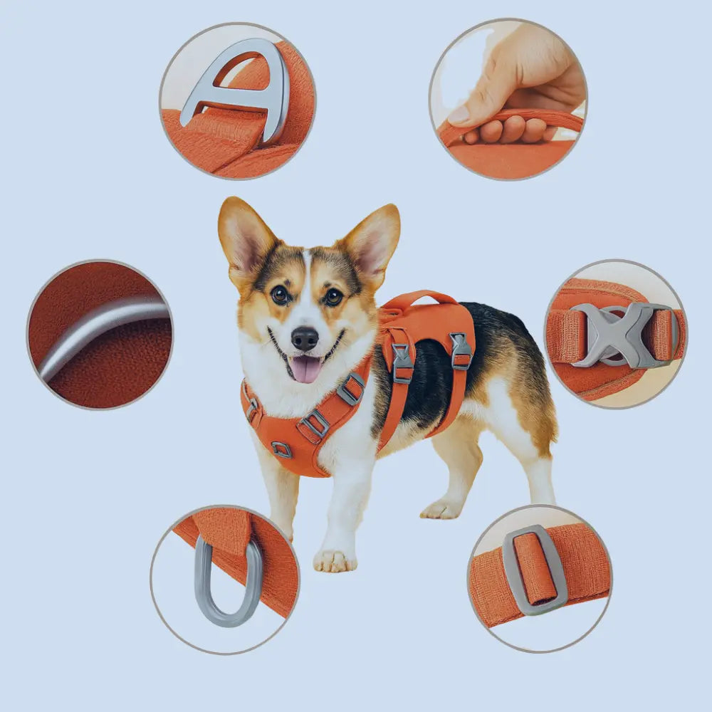 Canicross | Harnais pour petits et moyens chiens Dog Spirit