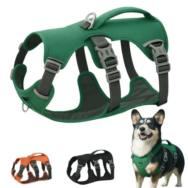 Canicross | Harnais pour petits et moyens chiens Dog Spirit