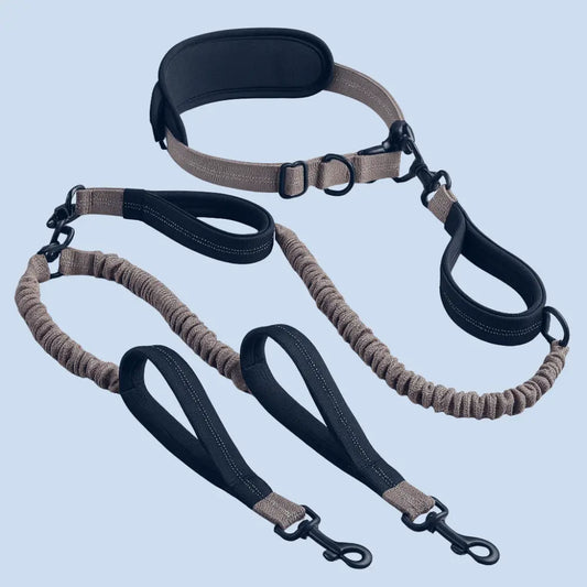 Canicross | Laisse Double pour Chien Avec Ceinture Premium Dog Spirit