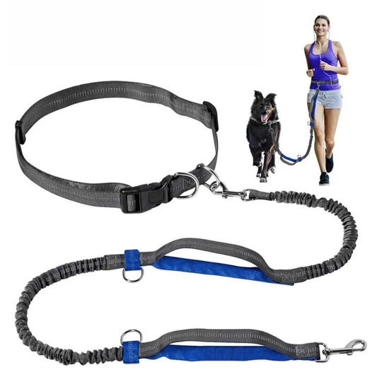Canicross | Laisse Mains Libres Ceinture Premium Dog Spirit