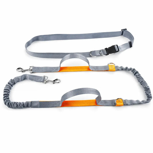 Canicross |  Laisse Mains Libres Élastique pour Chien – Ceinture de Course Réglable & Amortisseur de Traction Dog Spirit