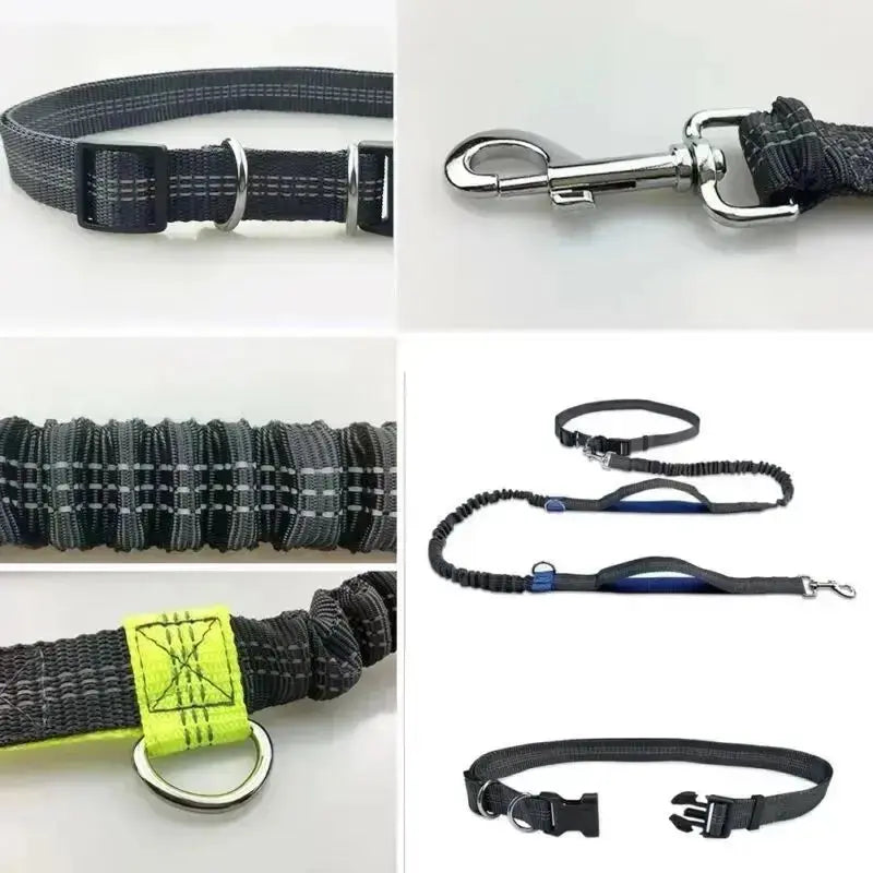 Canicross |  Laisse Mains Libres Élastique pour Chien – Ceinture de Course Réglable & Amortisseur de Traction Dog Spirit