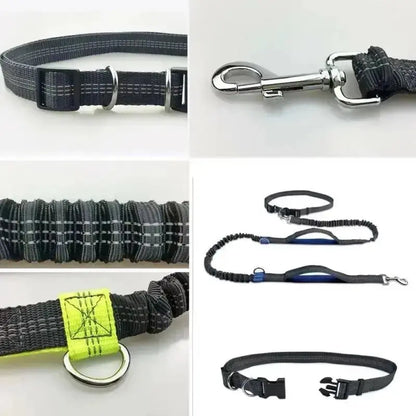 Canicross |  Laisse Mains Libres Élastique pour Chien – Ceinture de Course Réglable & Amortisseur de Traction Dog Spirit