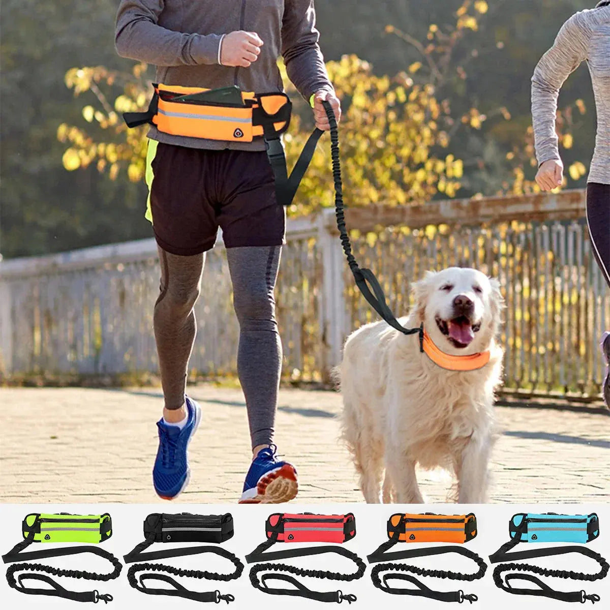 Canicross | Laisse Traction pour chien avec Sac Banane Dog Spirit