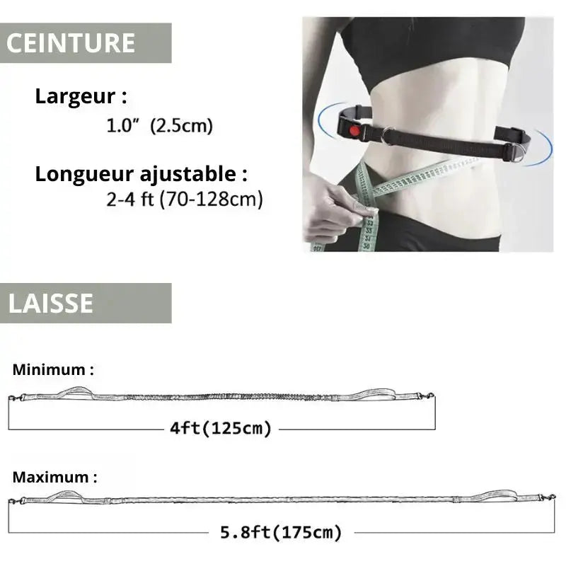 Canicross | Laisse ceinture élastique pour chien en nylon – Course marche & chiens actifs Dog Spirit