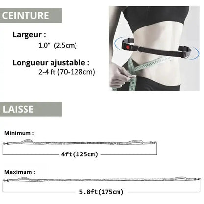 Canicross | Laisse ceinture élastique pour chien en nylon – Course marche & chiens actifs Dog Spirit