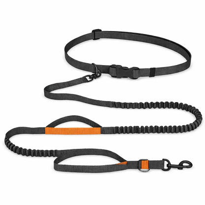Canicross | Laisse ceinture mains libres Dog Spirit