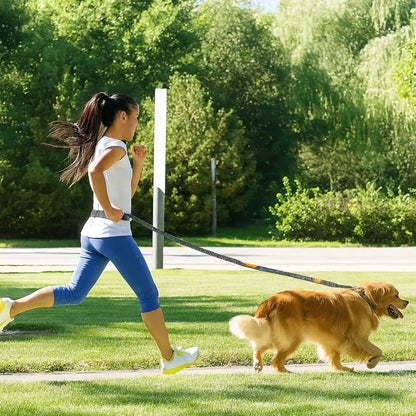 Canicross | Laisse ceinture mains libres Dog Spirit