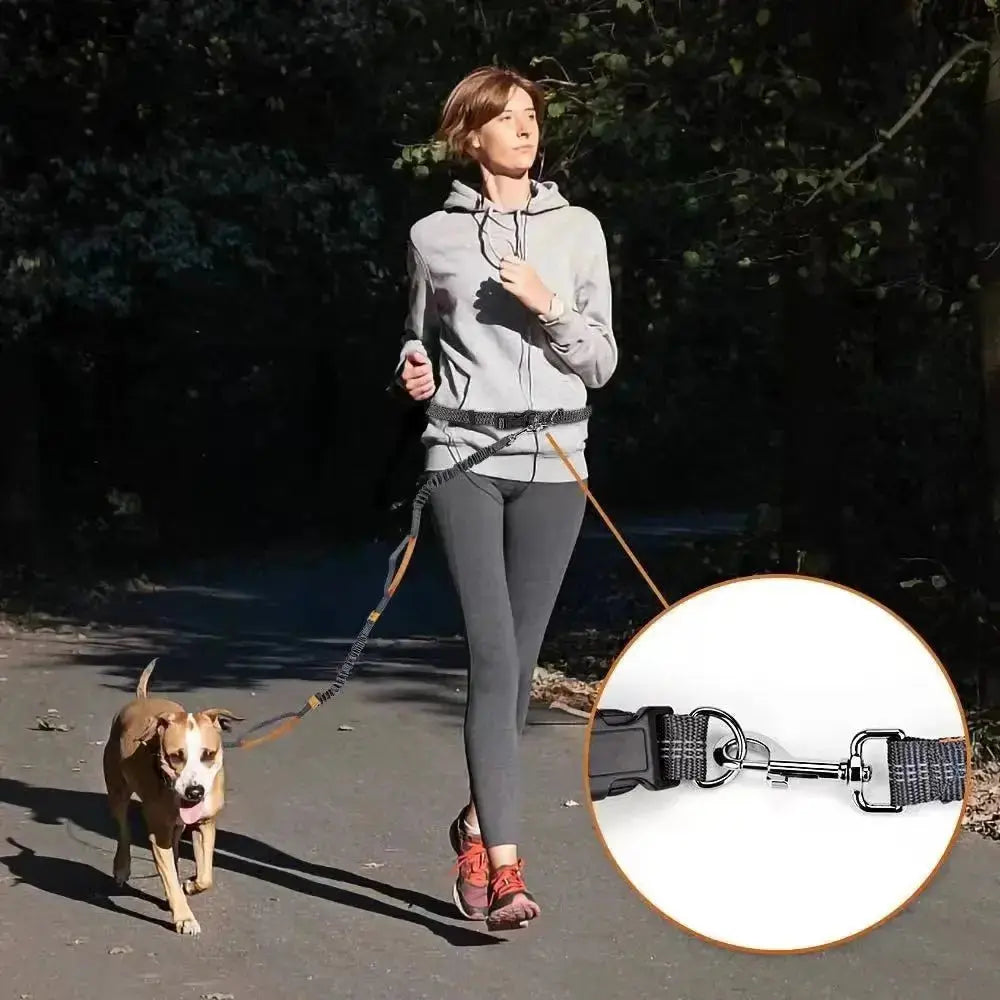 Canicross | Laisse ceinture mains libres Dog Spirit