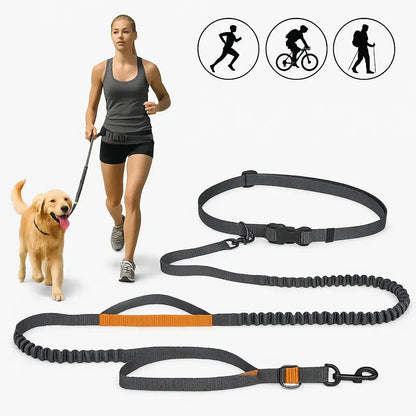 Canicross | Laisse ceinture mains libres Dog Spirit