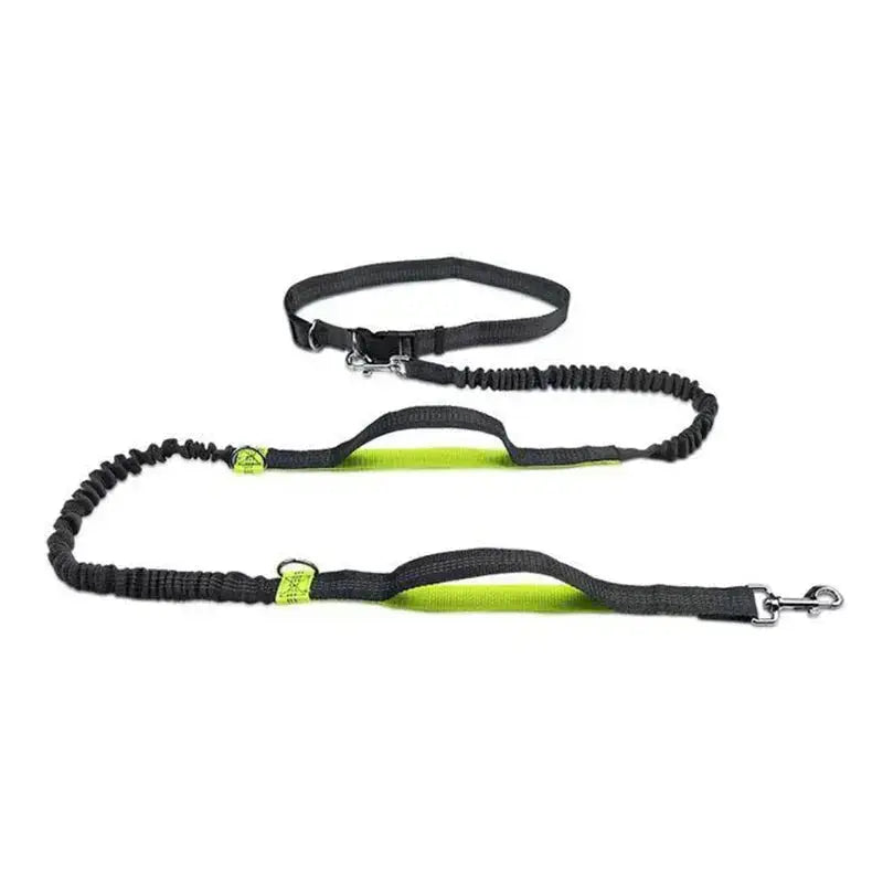 Canicross | Laisse ceinture mains libres Dog Spirit