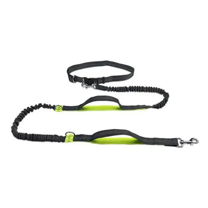Canicross | Laisse ceinture mains libres Dog Spirit