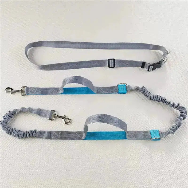 Canicross | Laisse ceinture mains libres Dog Spirit