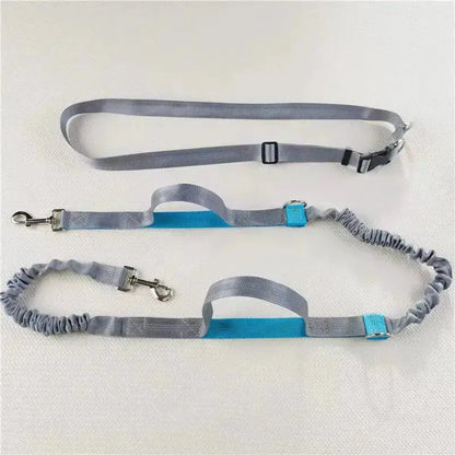 Canicross | Laisse ceinture mains libres Dog Spirit