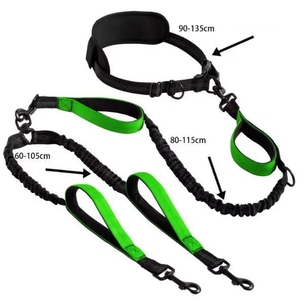 Canicross | Laisse mains libres double pour Chien avec Ceinture, qualité Premium Dog Spirit